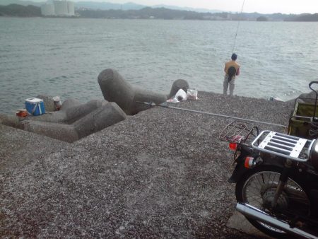 ヘダイ、サバ、アジ